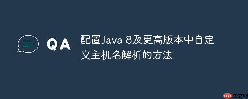 配置Java 8及更高版本中自定义主机名解析的方法