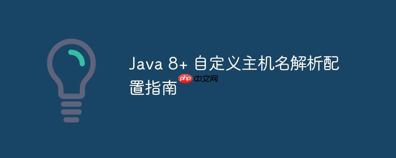 Java 8+ 自定义主机名解析配置指南