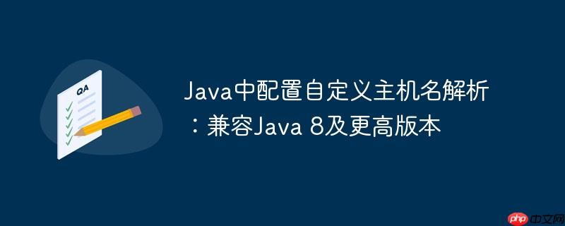 Java中配置自定义主机名解析：兼容Java 8及更高版本
