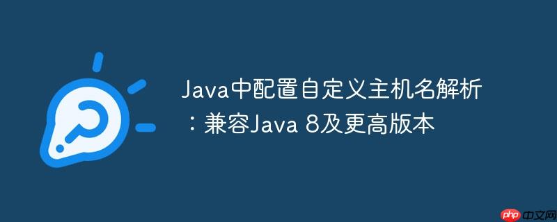 Java中配置自定义主机名解析：兼容Java 8及更高版本-小浪学习网