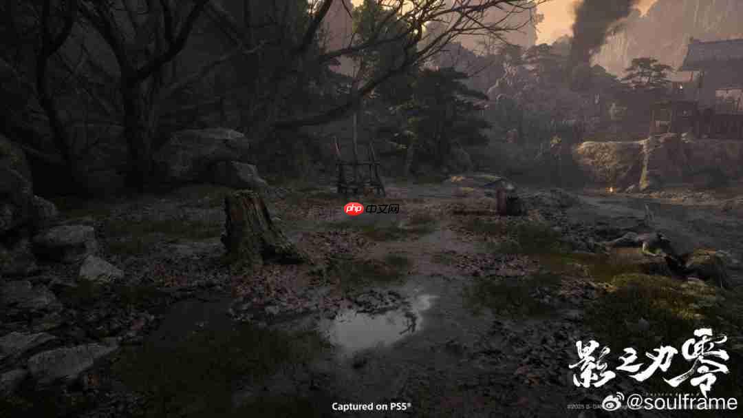 《影之刃零》线下试玩会将开启 PS5上可稳定2K/60帧