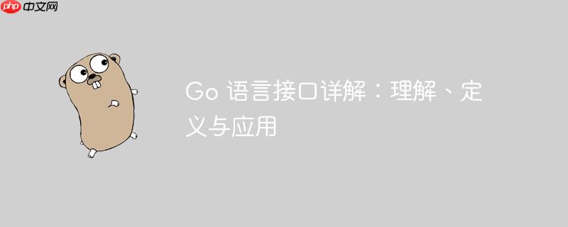 go 语言接口详解:理解、定义与应用