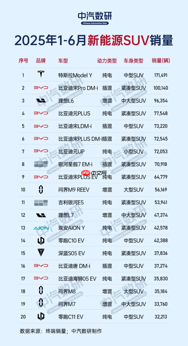 上半年新能源轿车及SUV销量榜出炉：吉利、特斯拉夺冠