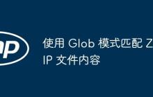 使用 Glob 模式匹配 ZIP 文件内容