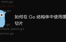 如何在 Go 结构体中使用匿名切片