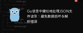 Go语言中健壮地处理JSON文件读写：避免数据损坏与解析错误