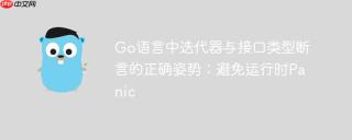 Go语言中迭代器与接口类型断言的正确姿势：避免运行时Panic