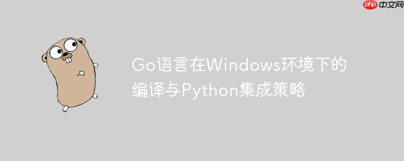 Go语言在Windows环境下的编译与Python集成策略