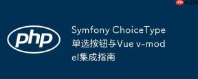 Symfony ChoiceType单选按钮与Vue v-model集成指南