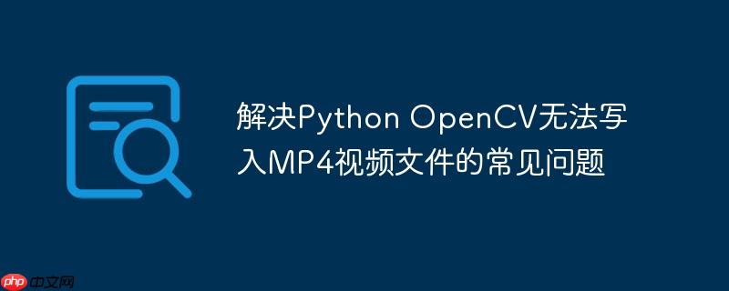 opencv如何读取视频 opencv写入视频大小为0