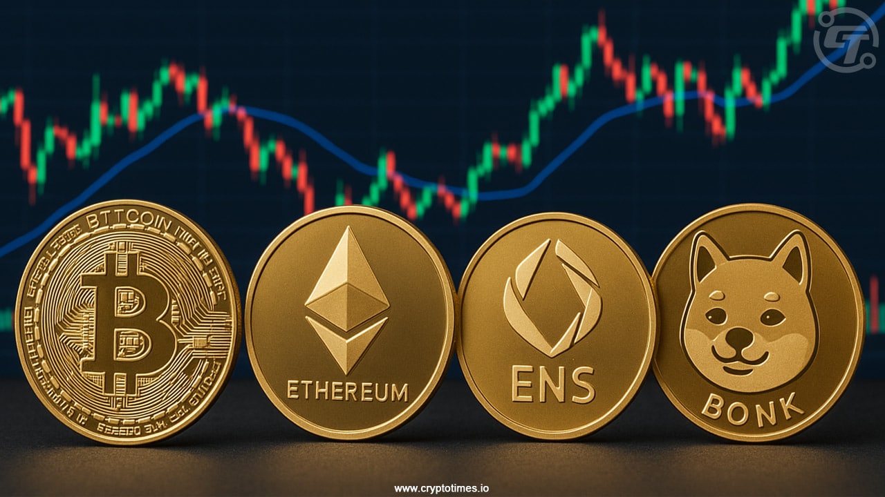 比特币、山寨币、模因币：在新一轮牛市中穿越加密货币动物园