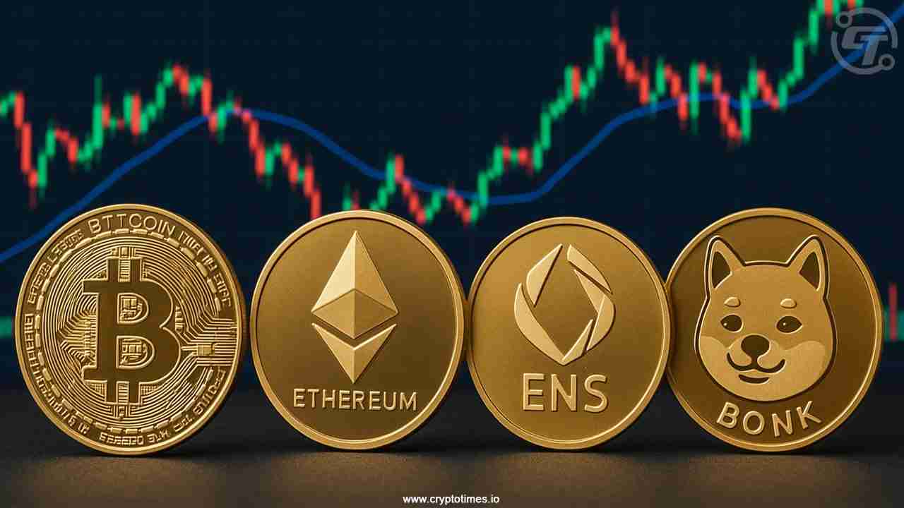 比特币、山寨币、模因币:在新一轮牛市中穿越加密货币动物园