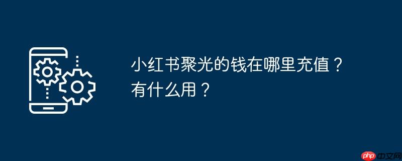 小红书聚光的钱在哪里充值？有什么用？