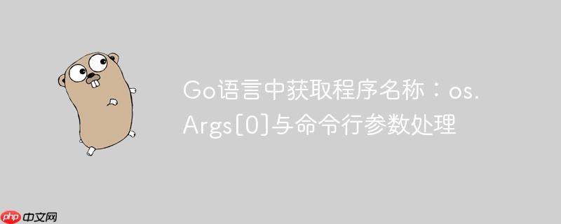 Go语言中获取程序名称：os.Args[0]与命令行参数处理-小浪学习网