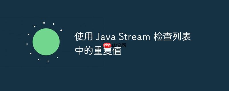 使用 java stream 检查列表中的重复值