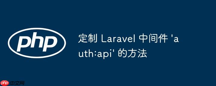 定制 laravel 中间件 'auth:api' 的方法