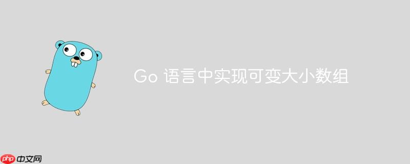 go 语言中实现可变大小数组