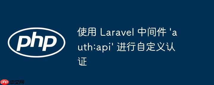 使用 laravel 中间件 'auth:api' 进行自定义认证