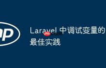 Laravel 中调试变量的最佳实践