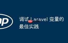 调试 Laravel 变量的最佳实践