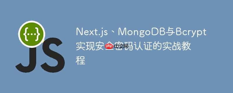 Next.js、MongoDB与Bcrypt实现安全密码认证的实战教程
