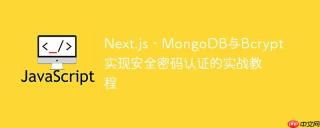Next.js、MongoDB与Bcrypt实现安全密码认证的实战教程