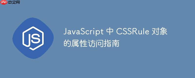 JavaScript 中 CSSRule 对象的属性访问指南
