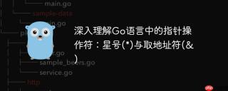 深入理解Go语言中的指针操作符：星号(*)与取地址符(&)