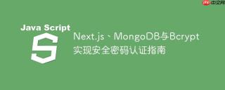 Next.js、MongoDB与Bcrypt实现安全密码认证指南
