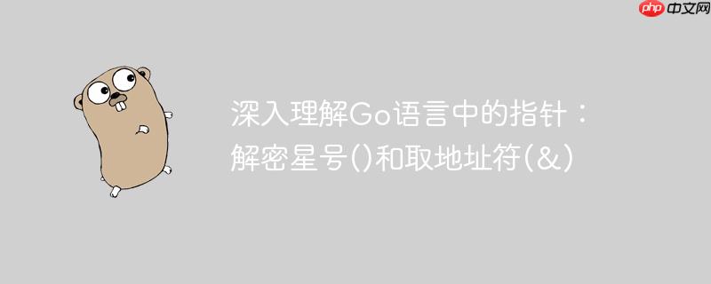 深入理解Go语言中的指针:解密星号()和取地址符(&)