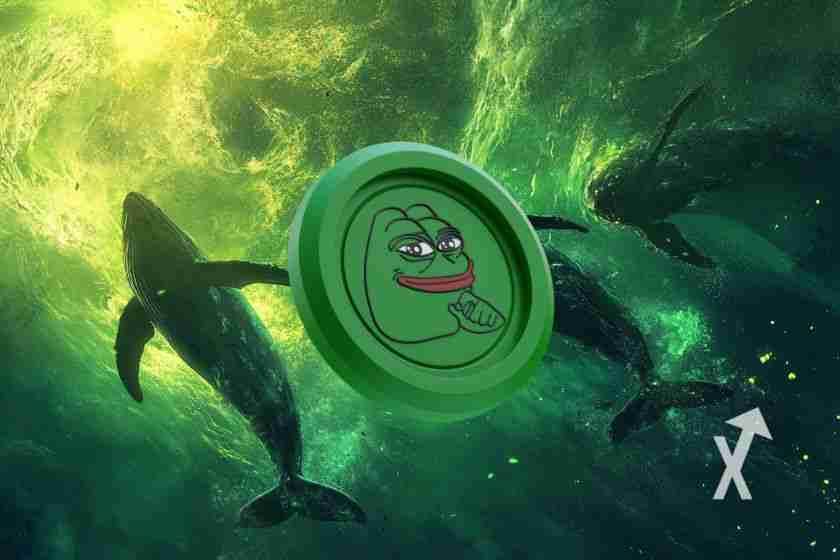 Pepe币:鲸鱼正在囤积——牛市爆发即将到来?