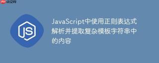 JavaScript中使用正则表达式解析并提取复杂模板字符串中的内容