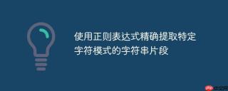 使用正则表达式精确提取特定字符模式的字符串片段