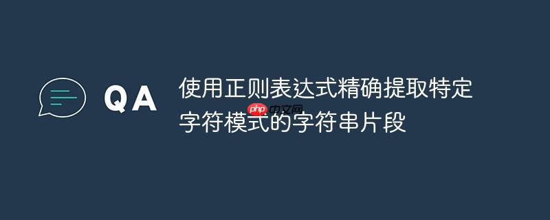 使用正则表达式精确提取特定字符模式的字符串片段