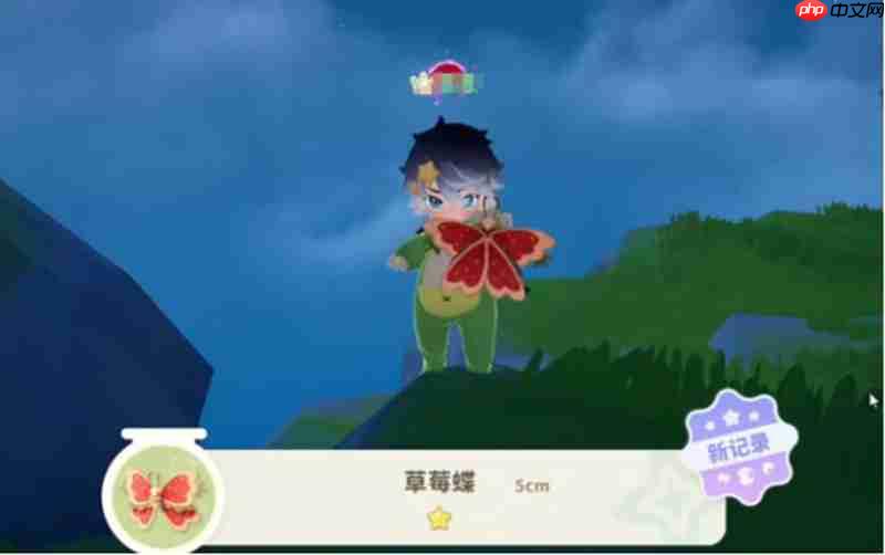 米姆米姆哈小橘蜂怎么抓 小橘蜂捕捉地点与方法