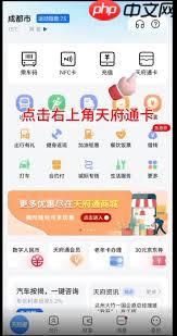 天府通如何充值公交次数卡