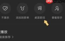汽水音乐桌面歌词怎么开启