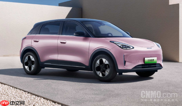 2025上半年新能源车型销量TOP20：Model Y丢掉冠军！