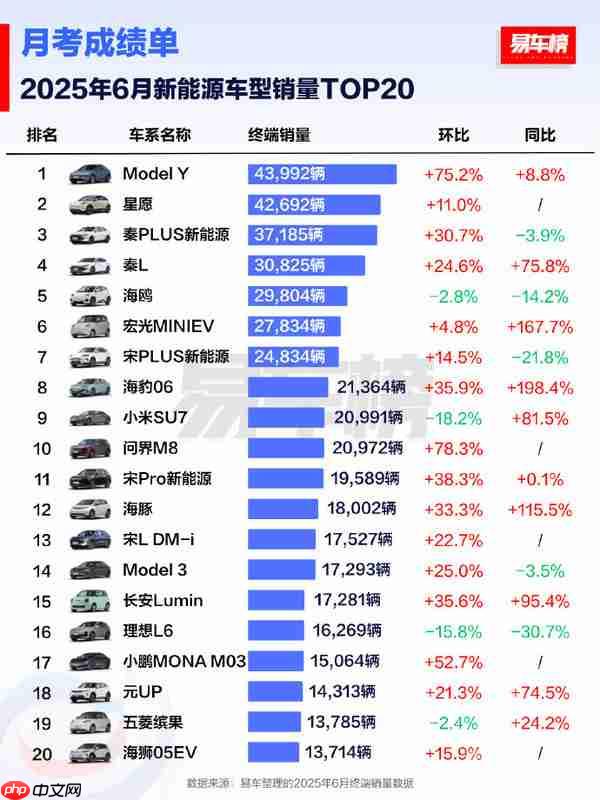 2025上半年新能源车型销量TOP20:Model Y丢掉冠军!