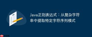 Java正则表达式：从复杂字符串中提取特定字符序列模式