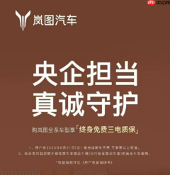 岚图汽车全系三电终身质保上线 打造用户服务新标杆