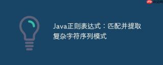 Java正则表达式：匹配并提取复杂字符序列模式