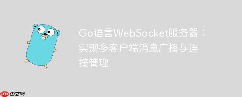 go语言websocket服务器:实现多客户端消息广播与连接管理