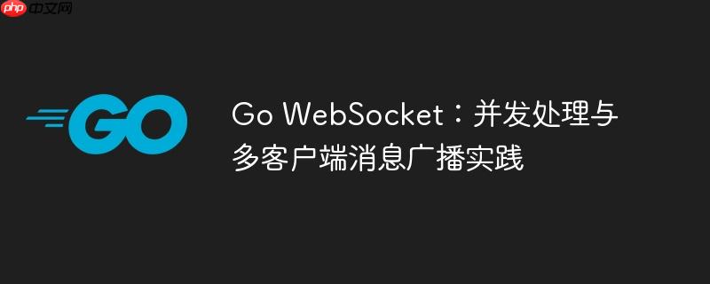 Go WebSocket:并发处理与多客户端消息广播实践