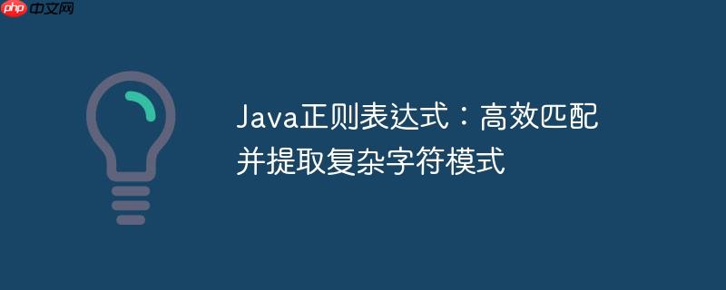 java正则表达式：高效匹配并提取复杂字符模式
