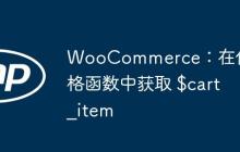 WooCommerce：在价格函数中获取 $cart_item