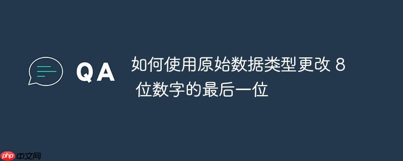 如何使用原始数据类型更改 8 位数字的最后一位-小浪学习网