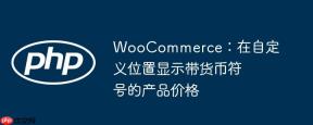 WooCommerce：在自定义位置显示带货币符号的产品价格