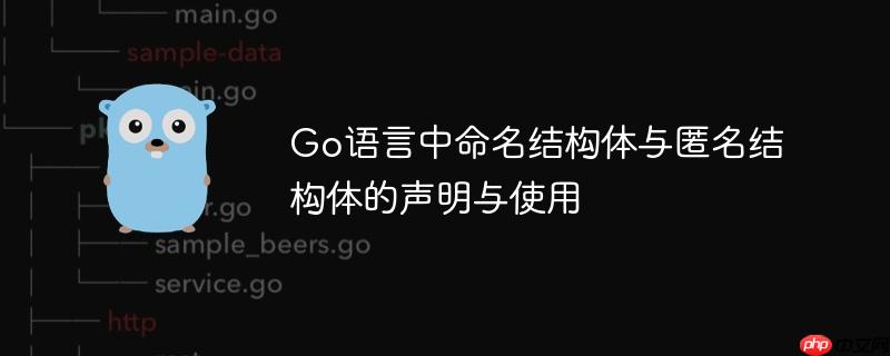 Go语言中命名结构体与匿名结构体的声明与使用-小浪学习网