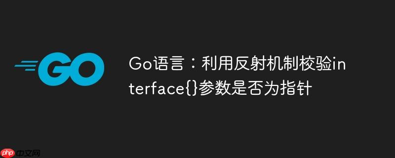 Go语言：利用反射机制校验interface{}参数是否为指针
